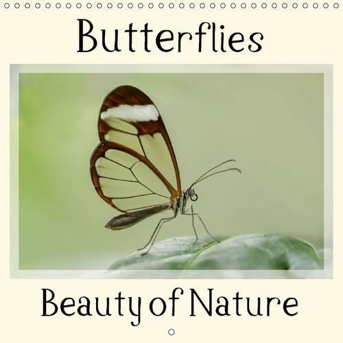 Butterflies Beauty of Nature 2015