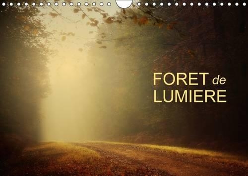 Foret De Lumiere 2017