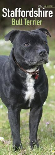 Staffordshire Bull Terrier 2021 Slim Calendar