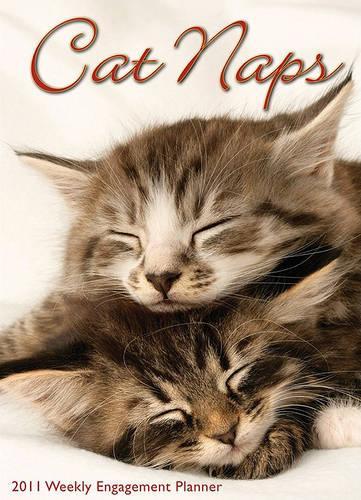 Cat Naps 16-Month Weekly Engagement Planner