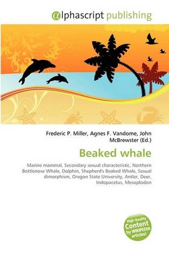 Beaked Whale