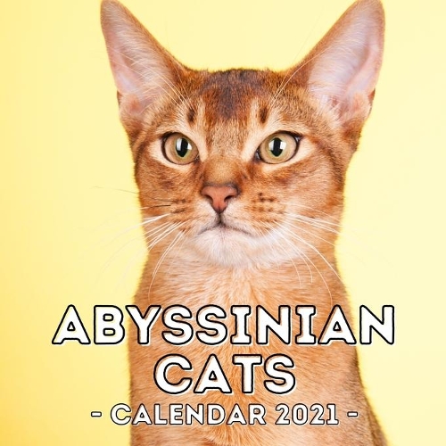 Abyssinian Cats: 2021 Wall Calendar, Cute Gift Idea For Abyssinian Lovers Or Owners Men And Women