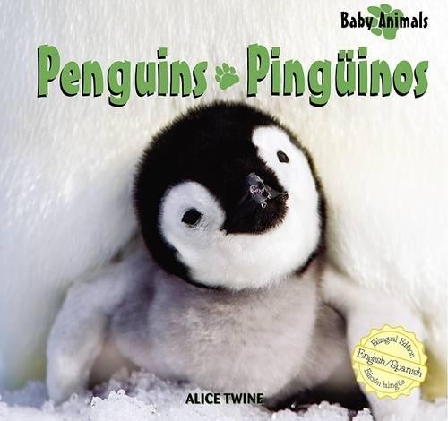 Penguins / Pinguinos