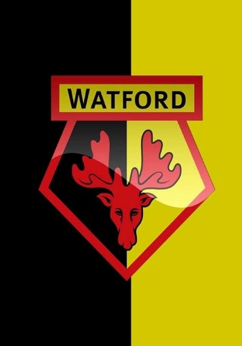 Watford F.C.Diary
