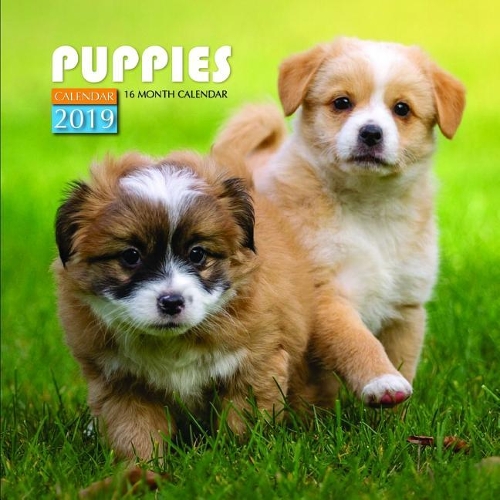 Puppies Calendar 2019