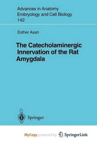 The Catecholaminergic Innervation of the Rat Amygdala