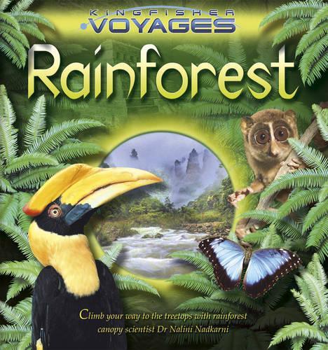 Rainforest: (Kingfisher Voyages S.)