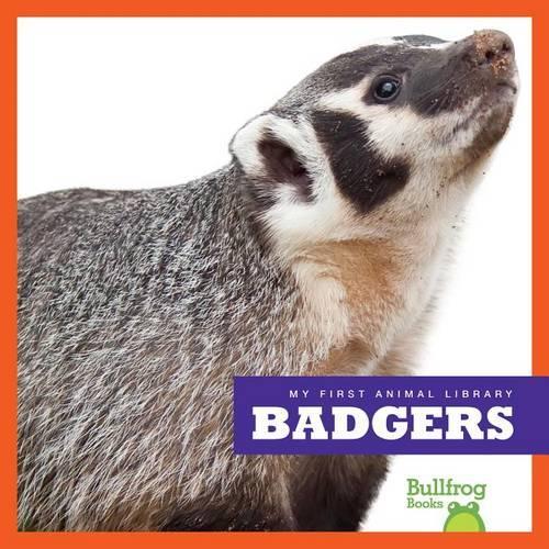 Badgers: (My First Animal Library)