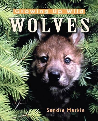 Growing Up Wild: Wolves(Growing Up Wild)