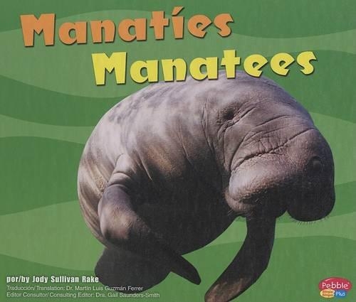 Manatíes/Manatees: (Bajo Las Olas/Under the Sea)