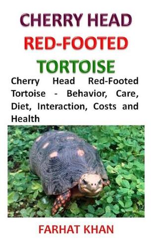 Cherry Head Red-Footed Tortoise