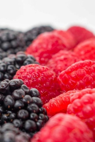 A Bevy of Beautiful Berries