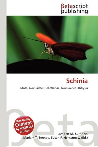 Schinia: (English)