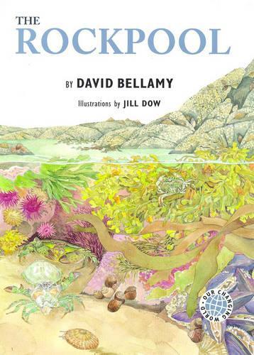 The Rockpool: (Our Changing World S.)