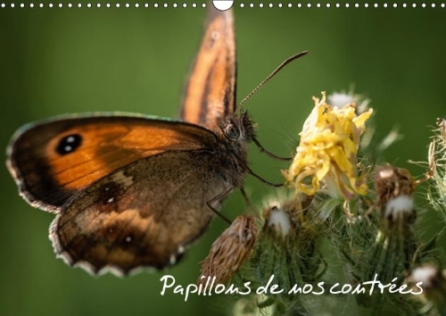 Papillons De Nos Contrees 2018