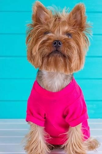 Yorkshire Terrier Says, "Get Me Out Of This Pink Shirt!" Journal: 150 page lined notebook/diary