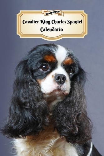 2020 Cavalier King Charles Spaniel Calendario