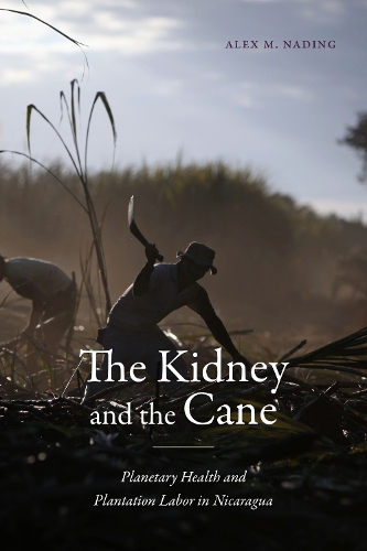 The Kidney and the Cane: Planetary Health and Plantation Labor in Nicaragua(Critical Global Health: Evidence, Efficacy, Ethnography)