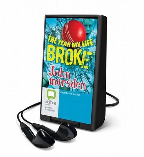 The Year My Life Broke