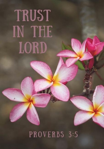 Trust in the Lord: Prayer Journal or Notebook with Prompts, Flowers, Pink(Elite Prayer Journal)