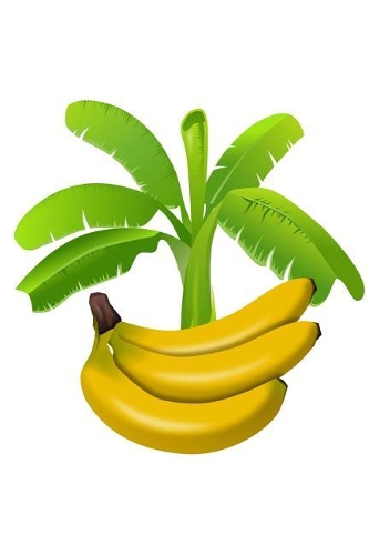 Bananas: 150 Lined Journal Pages / Diary / Notebook Featuring Bananas Fruit and Palm Tree on the Cover