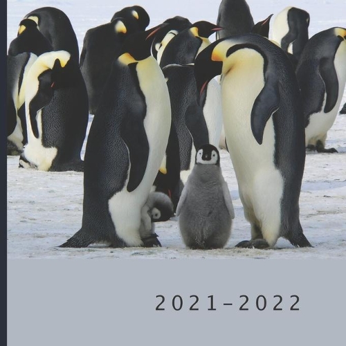 2021 - 2022