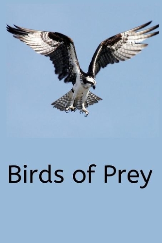 Birds of Prey: Writing journal/ Composition Notebook / Journal / Diary / Birds of Prey