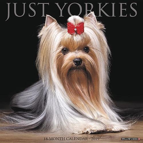Just Yorkies 2019 Wall Calendar (Dog Breed Calendar)