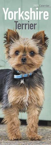 Yorkshire Terrier 2021 Slim Calendar