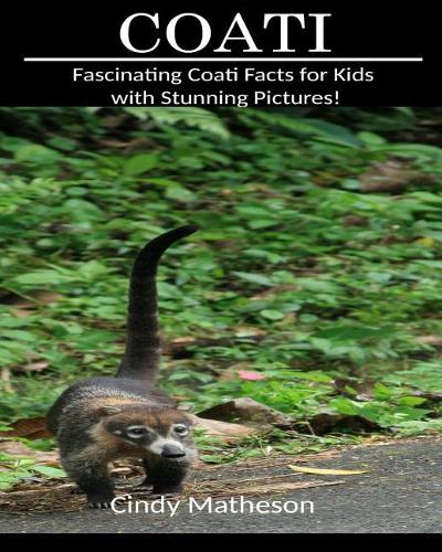 Coati: Fascinating Coati Facts for Kids with Stunning Pictures!