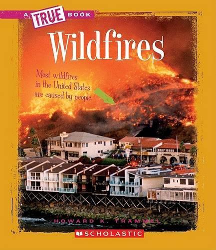 Wildfires