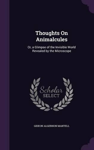 Thoughts On Animalcules: Or, a Glimpse of the Invisible World Revealed by the Microscope(English)