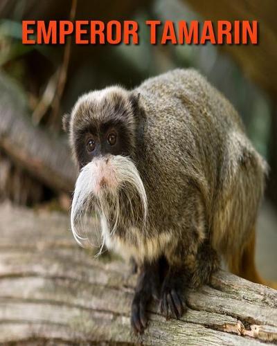 Emperor Tamarin