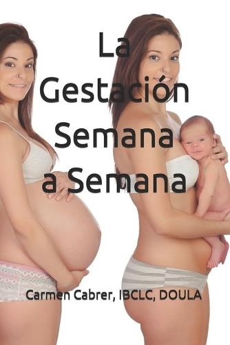 La Gestación Semana a Semana