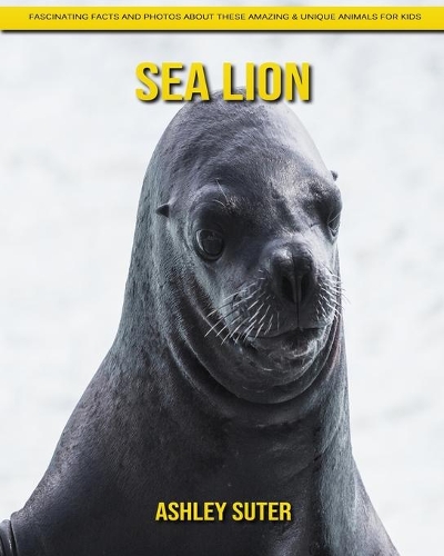Sea Lion