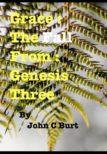 Grace: The Fall From: Genesis Three.