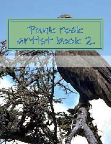 Punk Rock Artist Book 2