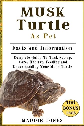Musk Turtle as Pet
