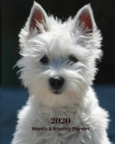 2020 Weekly and Monthly Planner