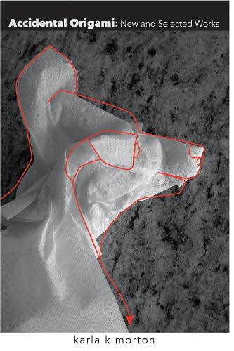 Accidental Origami