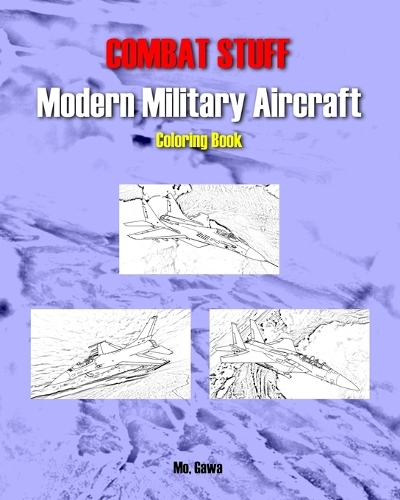 Combat Stuff: Modern Military Aircraft