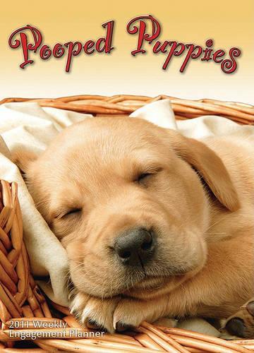 Pooped Puppies 16-Month Weekly Engagement Planner 2011