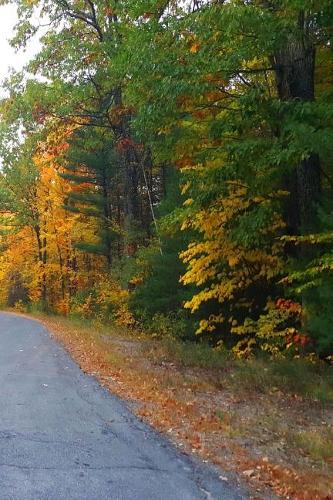 2019 Weekly Planner Winding Country Road Distance 134 Pages