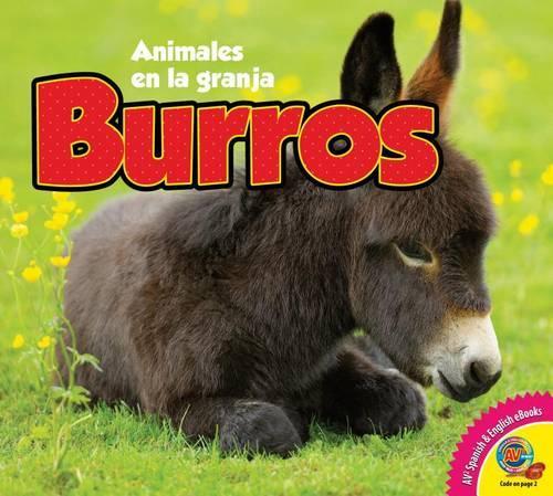Burros