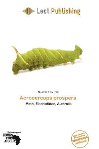Acrocercops Prospera