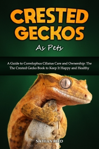 Crested Geckos as Pets