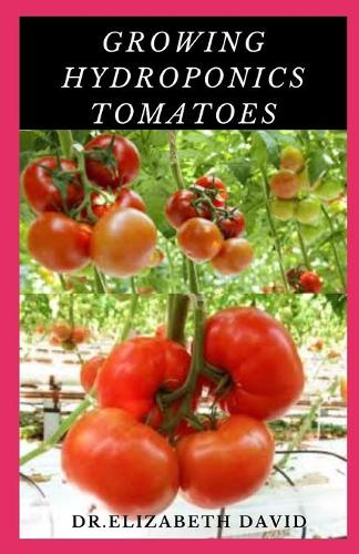 Growing Hydroponics Tomatoes