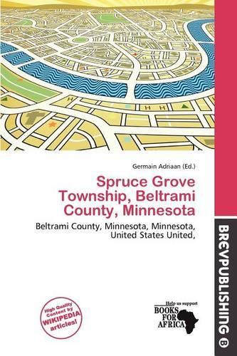 Spruce Grove Township, Beltrami County, Minnesota