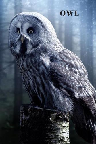 Owl: Notebook With Curio, Education Notebook, Animal Notebook, School Notebook, Journal, Diary (110 Pages, Blank, Lines, 6 x 9)