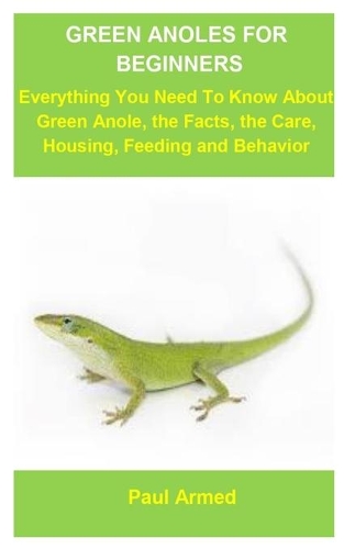 Green Anoles For Beginners